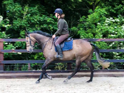 Chartbuster with his new owner